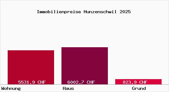 Immobilienpreise Hunzenschwil