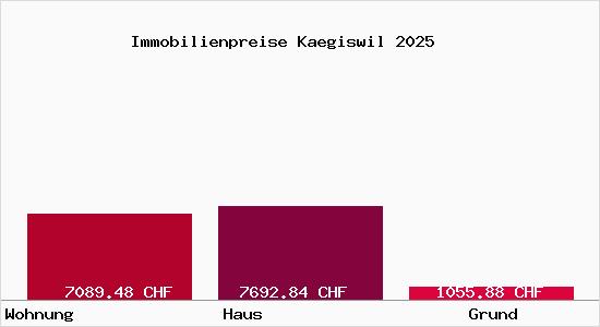 Immobilienpreise Kaegiswil