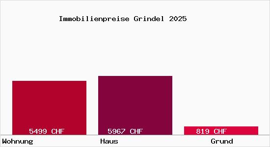 Immobilienpreise Grindel