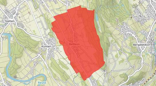 Immobilienpreise Bellikon