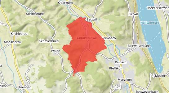 Immobilienpreise Gontenschwil