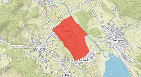 Immobilienpreise Hallwil