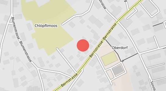 Immobilienpreise Bützberg