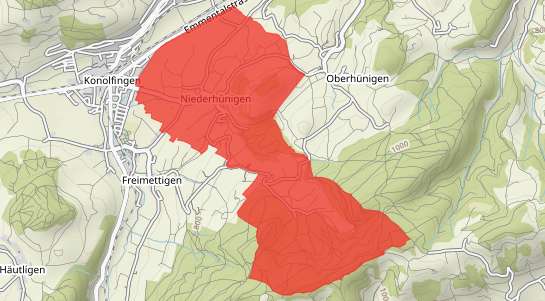 Immobilienpreise Niederhünigen