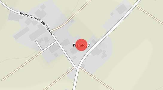 Immobilienpreise Praratoud