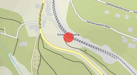 Immobilienpreise Davos Wolfgang