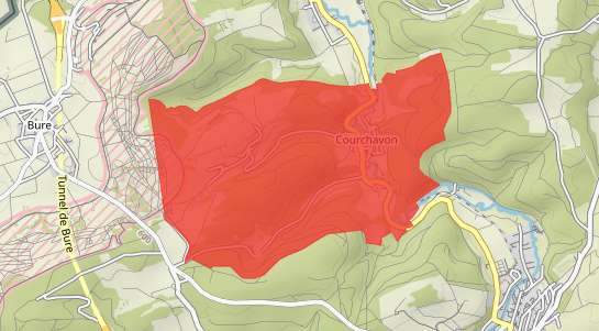 Immobilienpreise Courchavon