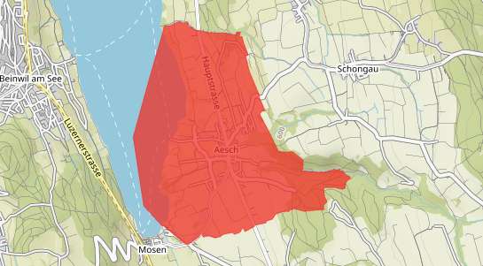 Immobilienpreise Aesch LU