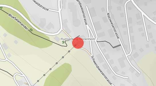 Immobilienpreise Flumserberg Tannenheim