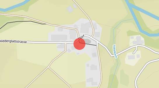 Immobilienpreise Niederglatt SG