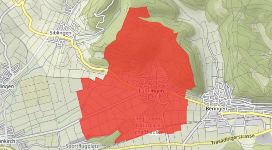 Immobilienpreise Löhningen