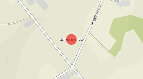 Immobilienpreise Schweizersholz