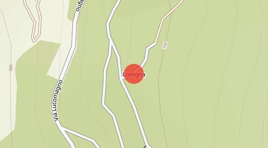 Immobilienpreise Lottigna