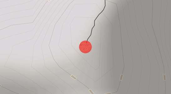 Immobilienpreise Bristen