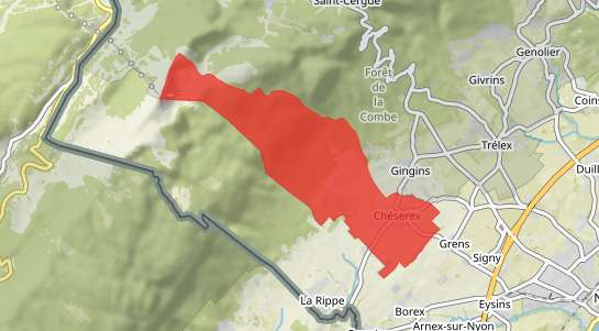 Immobilienpreise Chéserex