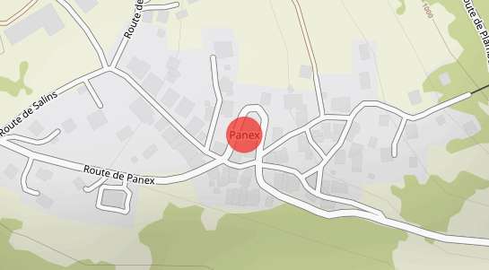 Immobilienpreise Panex