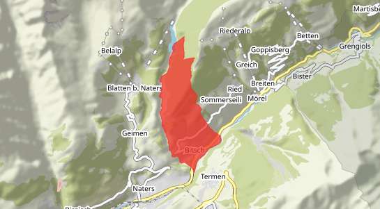 Immobilienpreise Bitsch