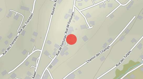 Immobilienpreise Fortunau (Ayent)