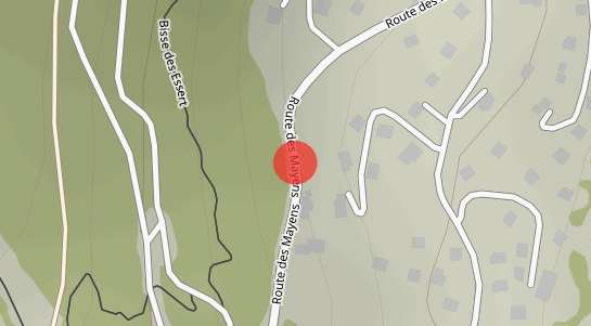 Immobilienpreise Mayens-de-Chamoson