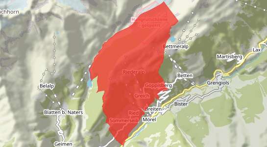 Immobilienpreise Riederalp