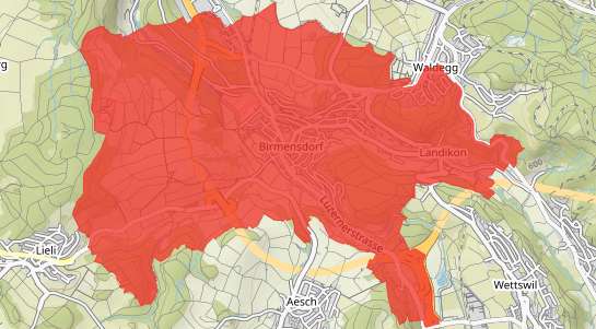 Immobilienpreise Birmensdorf ZH