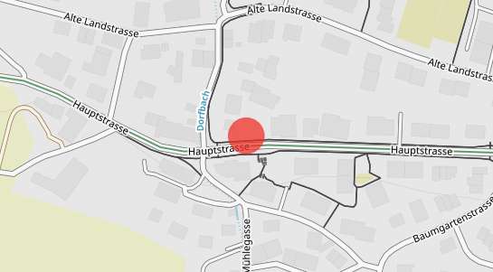 Immobilienpreise Dänikon ZH