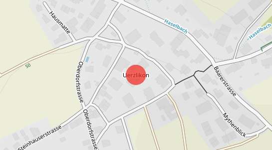 Immobilienpreise Uerzlikon